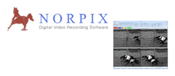 Software Norpix